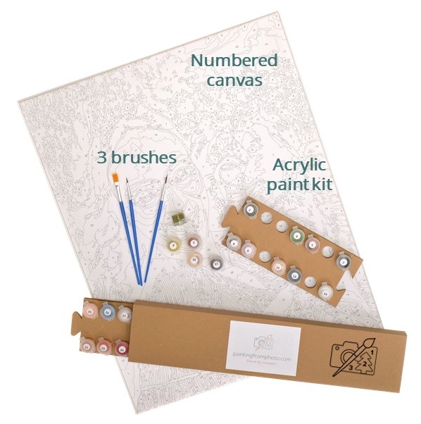 Kit peinture par numéros